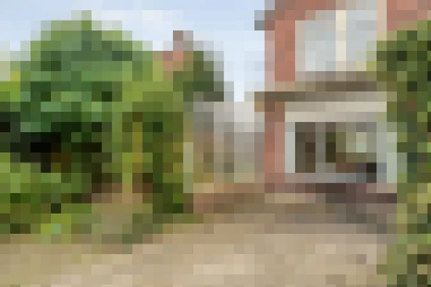 Dahliastraat 14 Raalte thumbnail 44