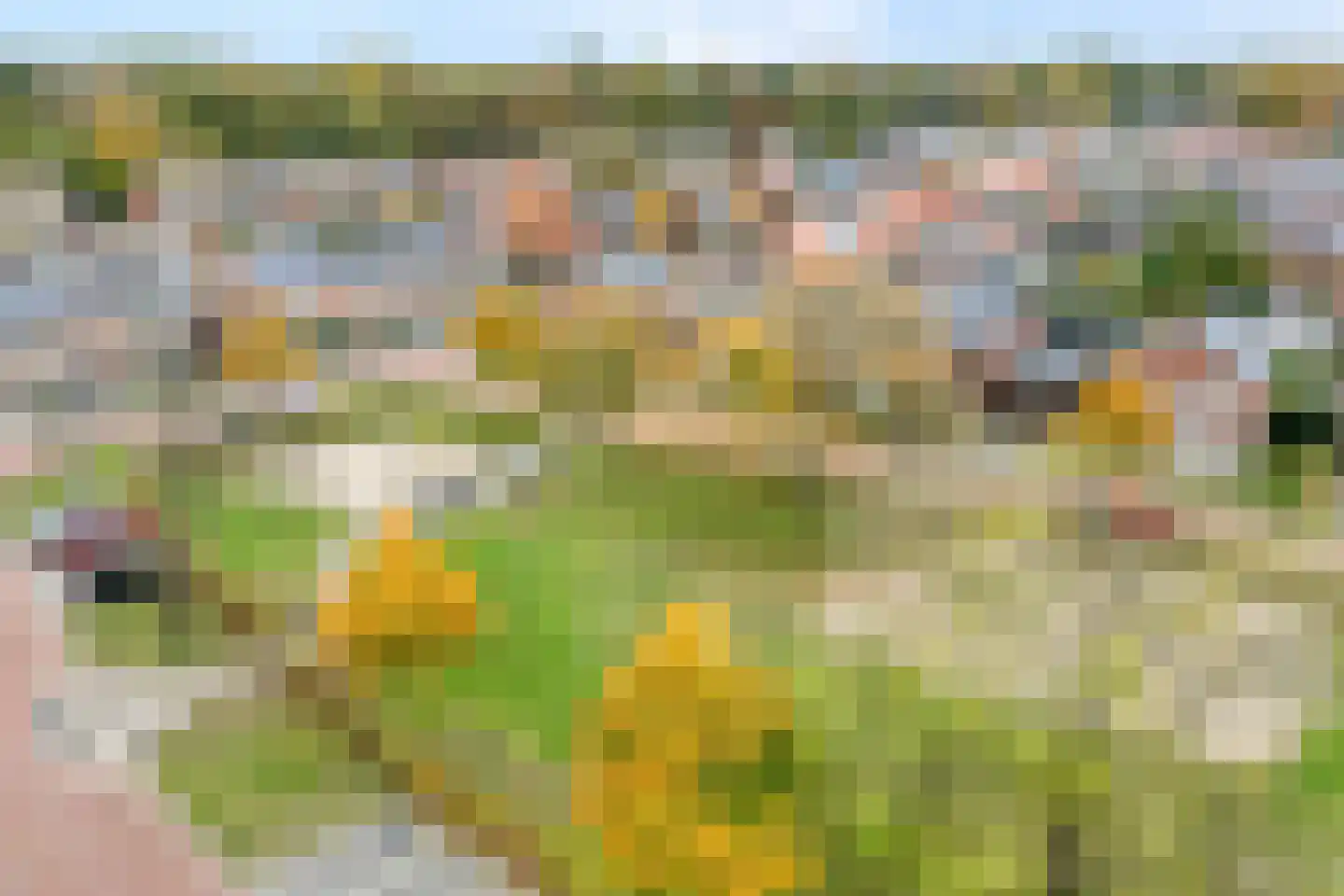 Dahliastraat 14 Raalte thumbnail 48