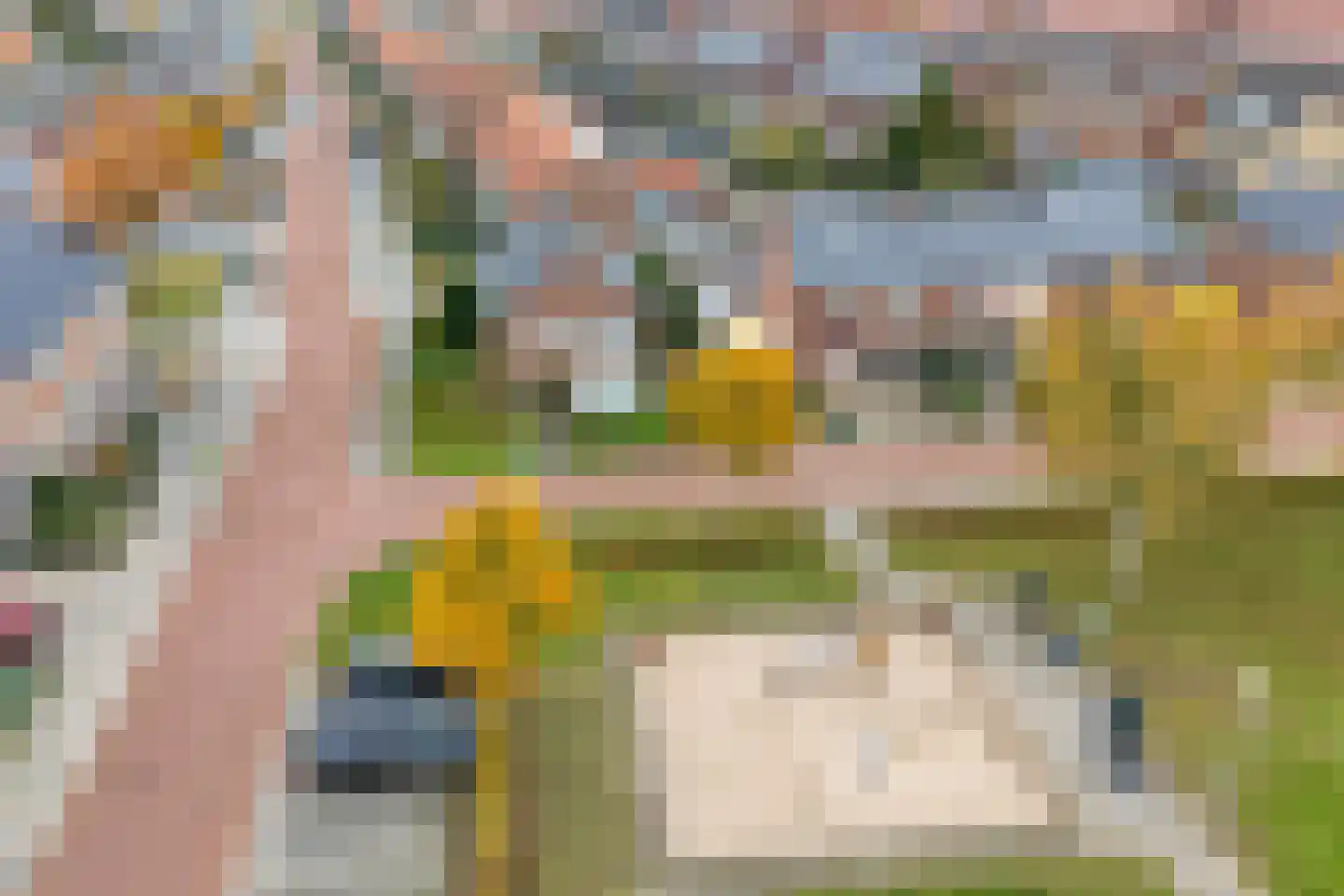Dahliastraat 14 Raalte thumbnail 49