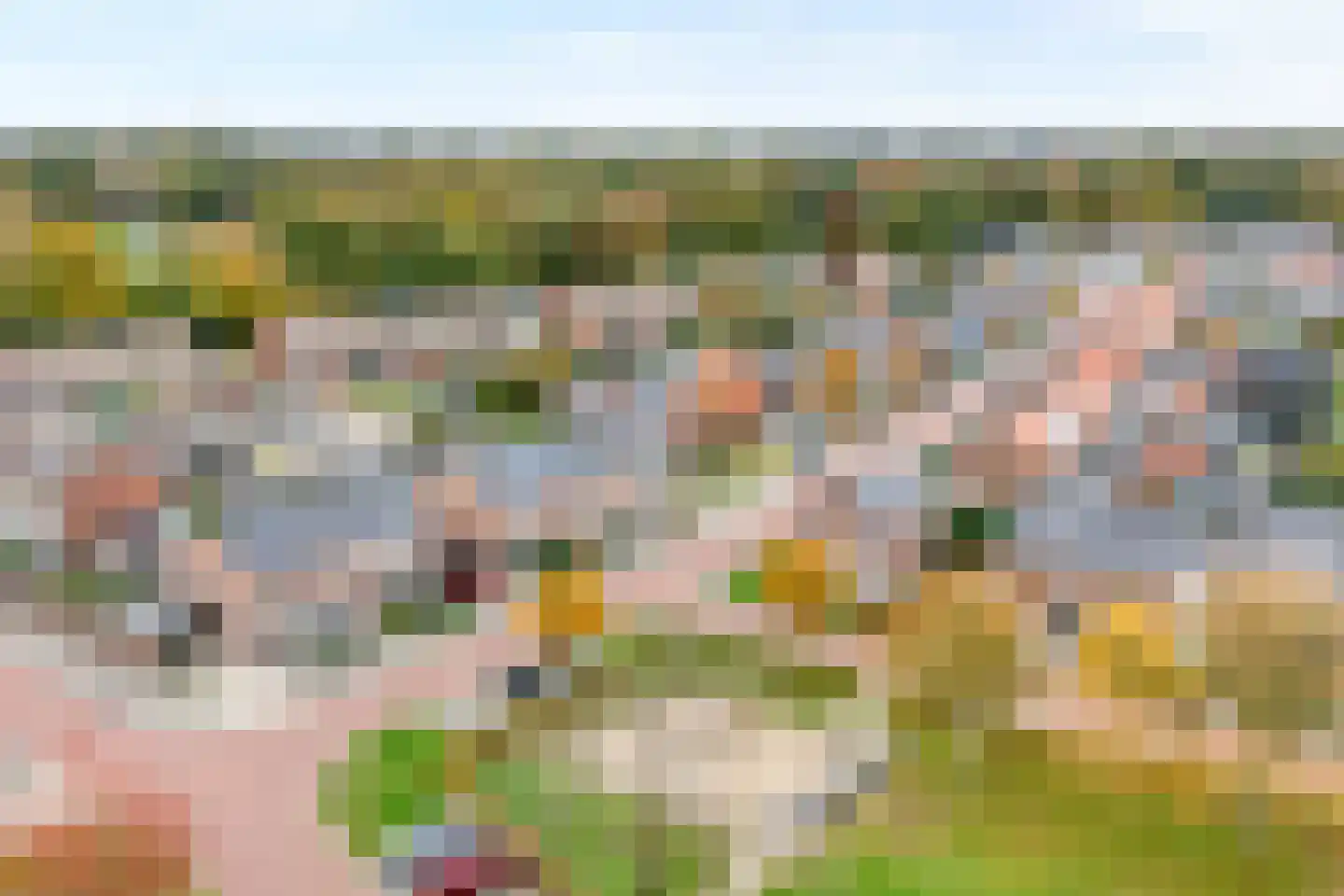 Dahliastraat 14 Raalte thumbnail 6