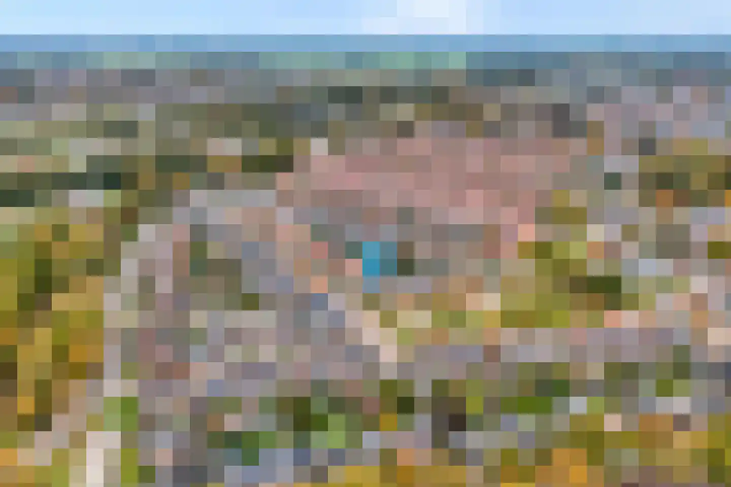 Dahliastraat 14 Raalte thumbnail 8