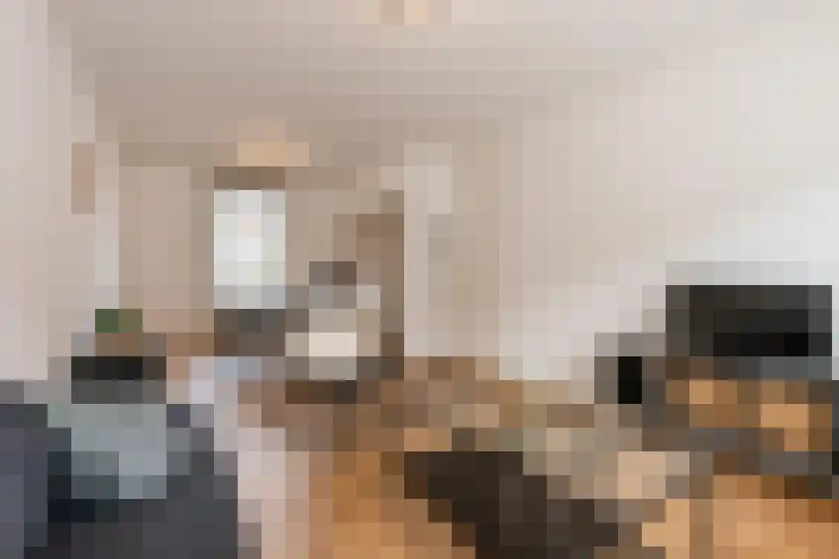 Dahliastraat 14 Terneuzen thumbnail 4