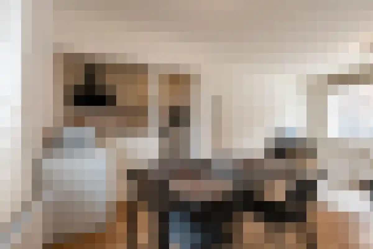 Dahliastraat 14 Terneuzen thumbnail 5