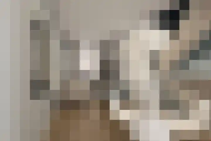 Dahliastraat 14 Utrecht thumbnail 12