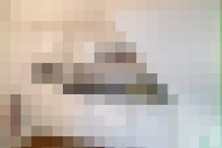 Dahliastraat 14 Utrecht thumbnail 14