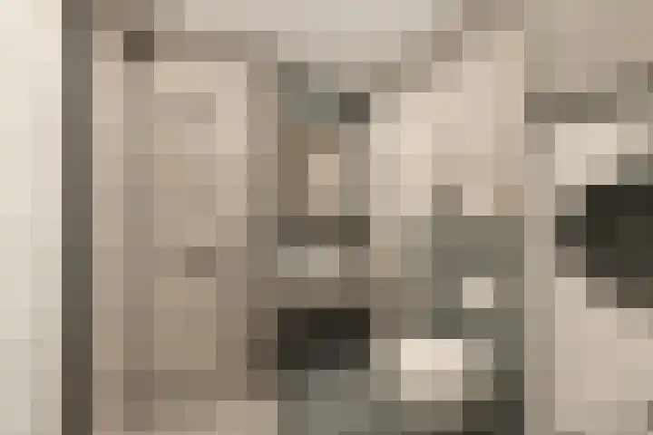 Dahliastraat 14 Utrecht thumbnail 19