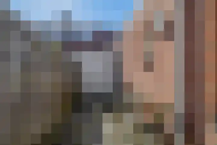 Dahliastraat 14 Utrecht thumbnail 21