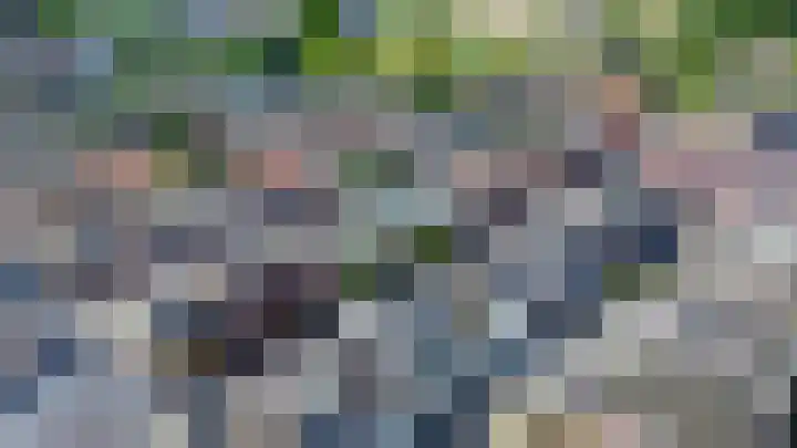 Dahliastraat 14 Utrecht thumbnail 30