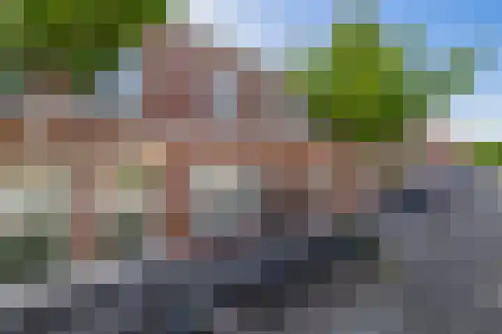 Dahliastraat 14 Utrecht thumbnail 6