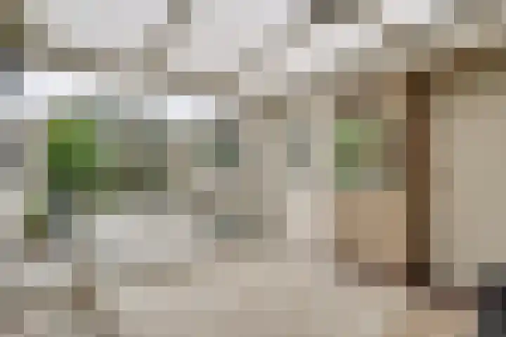 Dahliastraat 140 Hoogkarspel thumbnail 16