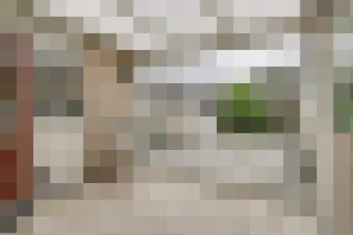 Dahliastraat 140 Hoogkarspel thumbnail 17