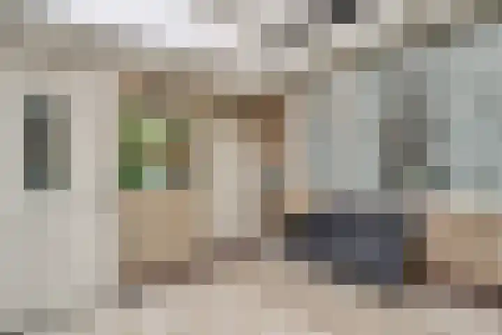 Dahliastraat 140 Hoogkarspel thumbnail 18