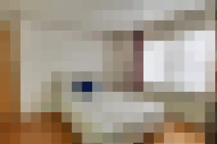 Dahliastraat 140 Hoogkarspel thumbnail 25