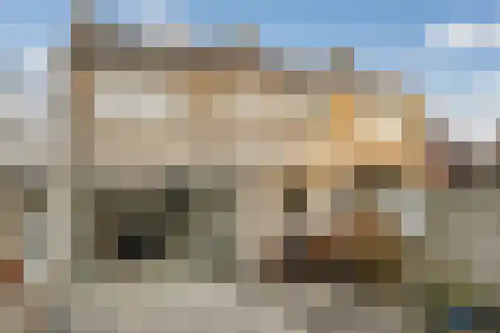 Dahliastraat 140 Hoogkarspel thumbnail 32