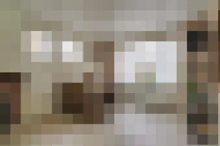 Dahliastraat 140 Hoogkarspel thumbnail 6
