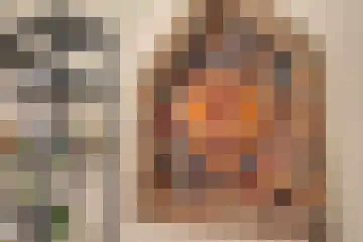 Dahliastraat 140 Hoogkarspel thumbnail 8