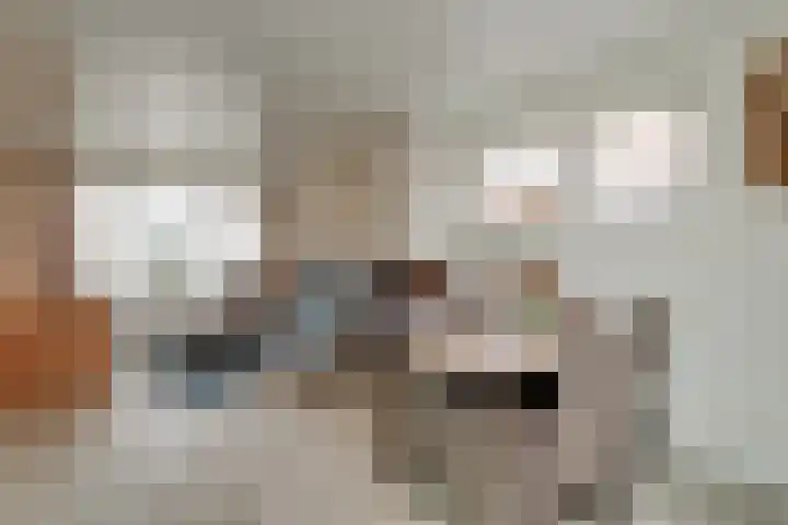 Dahliastraat 140 Hoogkarspel thumbnail 9