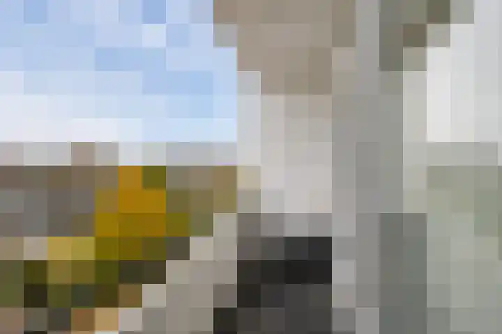 Dahliastraat 140 Zwijndrecht thumbnail 12