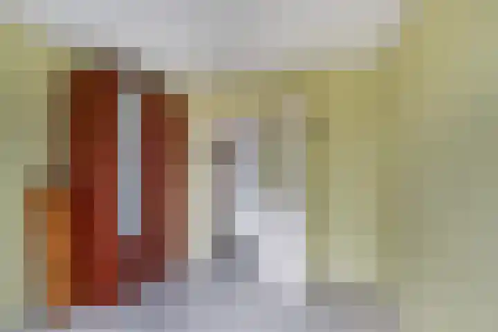 Dahliastraat 140 Zwijndrecht thumbnail 19