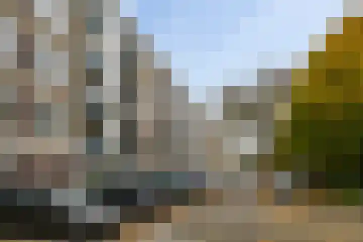 Dahliastraat 140 Zwijndrecht thumbnail 21