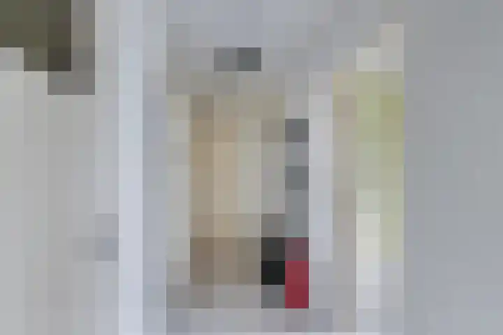Dahliastraat 140 Zwijndrecht thumbnail 4