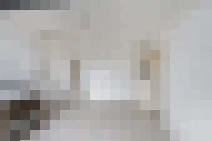 Dahliastraat 140 Zwijndrecht thumbnail 6