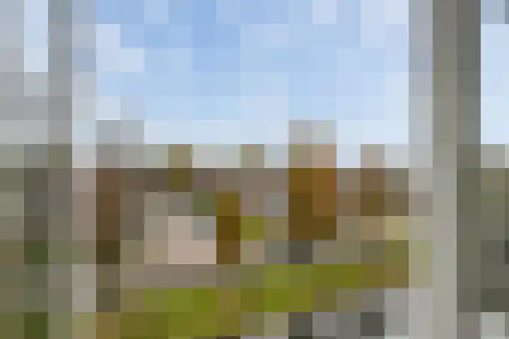 Dahliastraat 140 Zwijndrecht thumbnail 8