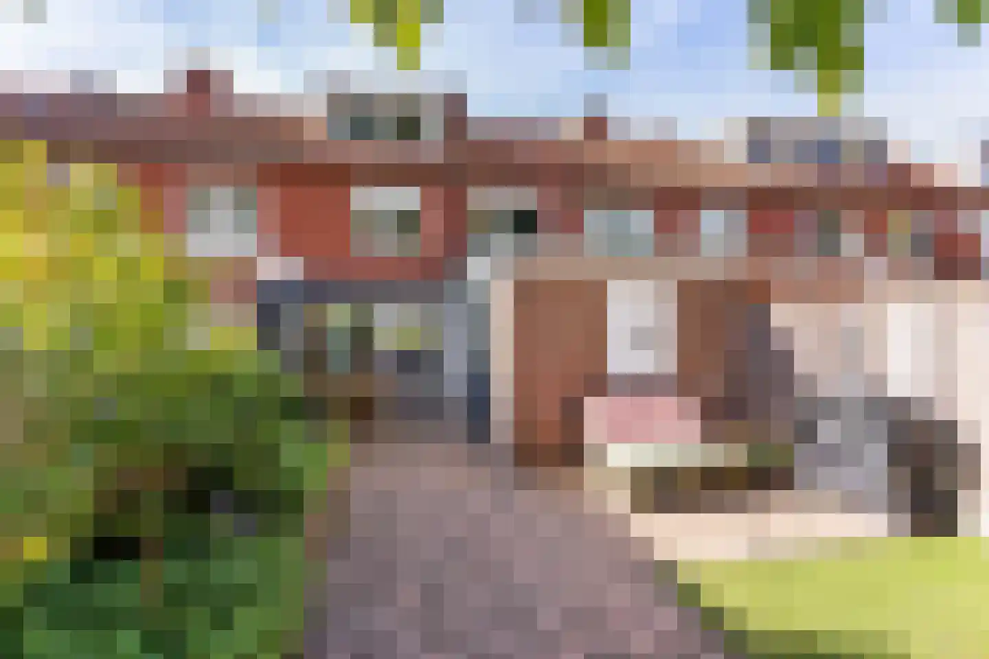 Dahliastraat 144 Enschede thumbnail 19