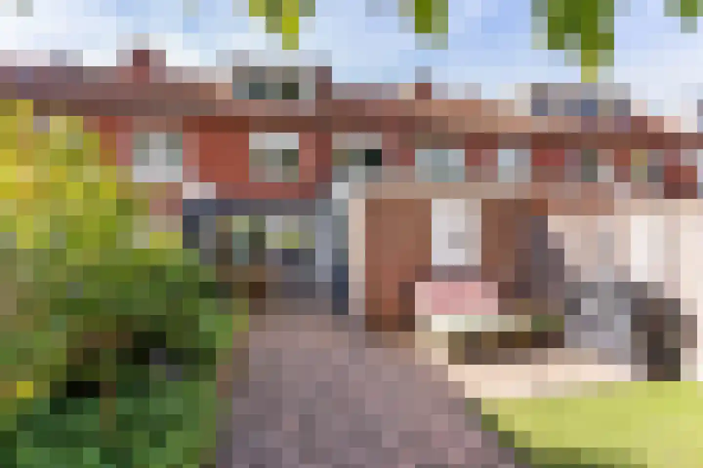 Dahliastraat 144 Enschede thumbnail 5