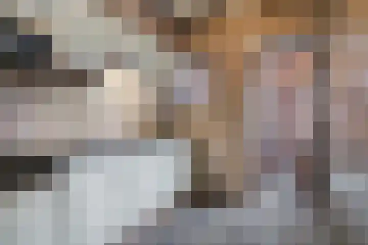 Dahliastraat 15 Steenbergen thumbnail 13