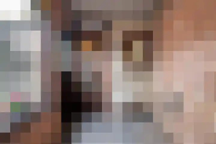 Dahliastraat 15 Steenbergen thumbnail 14
