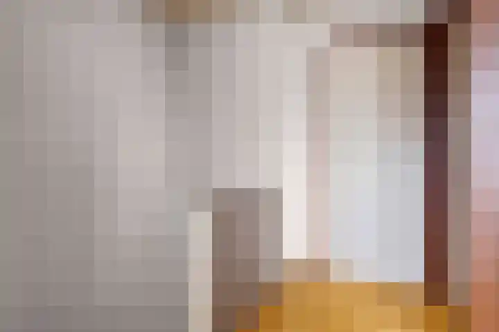 Dahliastraat 15 Steenbergen thumbnail 16