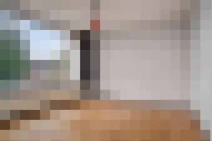 Dahliastraat 15 Steenbergen thumbnail 17