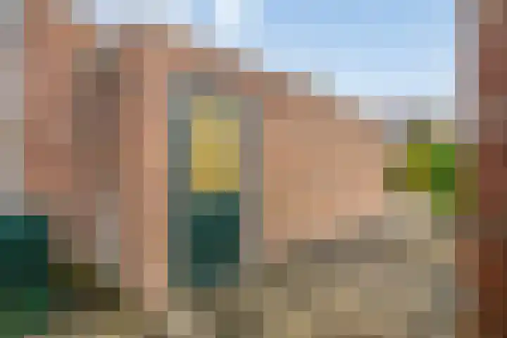 Dahliastraat 15 Steenbergen thumbnail 28