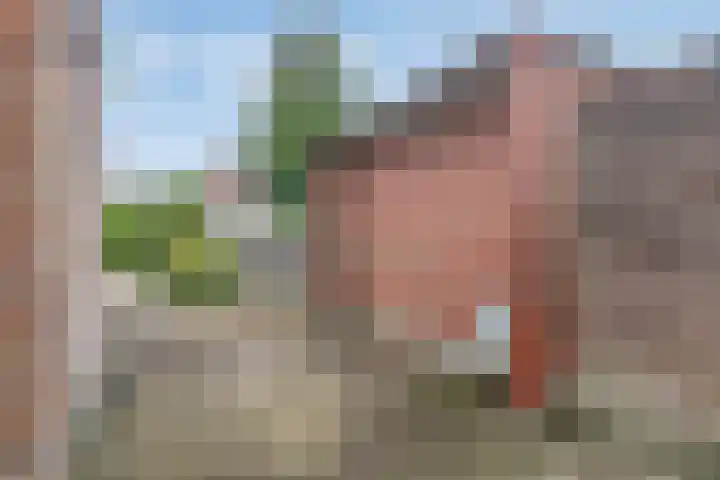 Dahliastraat 15 Steenbergen thumbnail 29