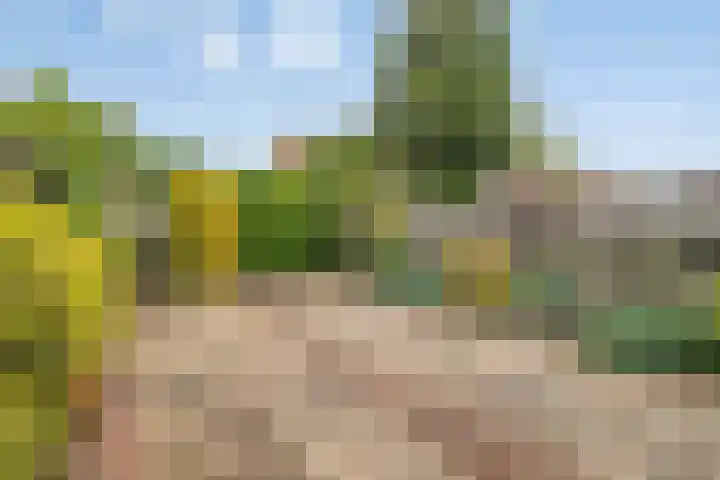 Dahliastraat 15 Steenbergen thumbnail 30