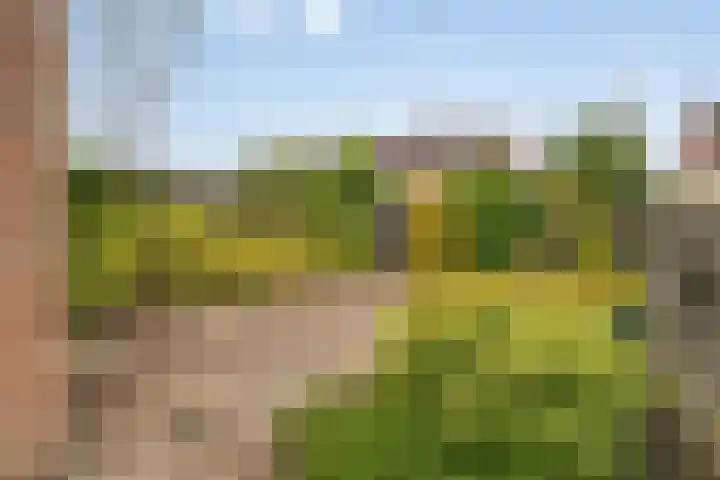 Dahliastraat 15 Steenbergen thumbnail 31
