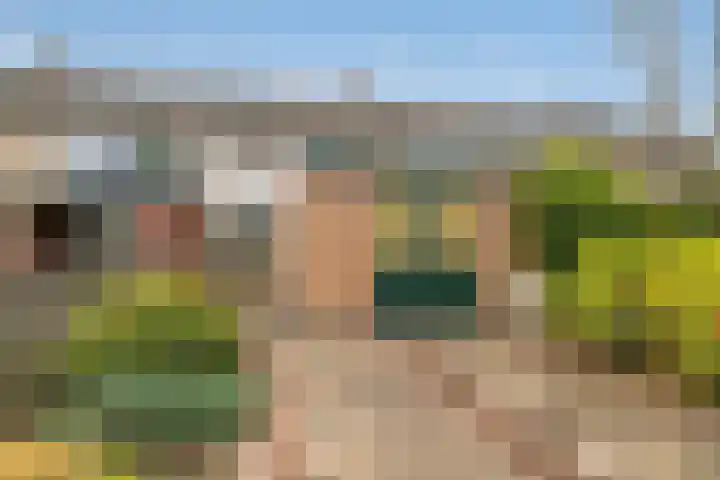 Dahliastraat 15 Steenbergen thumbnail 32