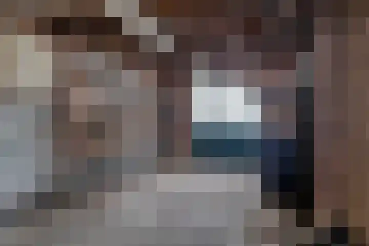 Dahliastraat 15 Steenbergen thumbnail 33