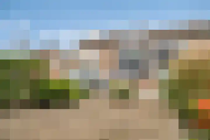 Dahliastraat 15 Steenbergen thumbnail 36