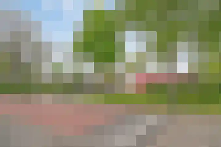 Dahliastraat 15 Steenbergen thumbnail 39