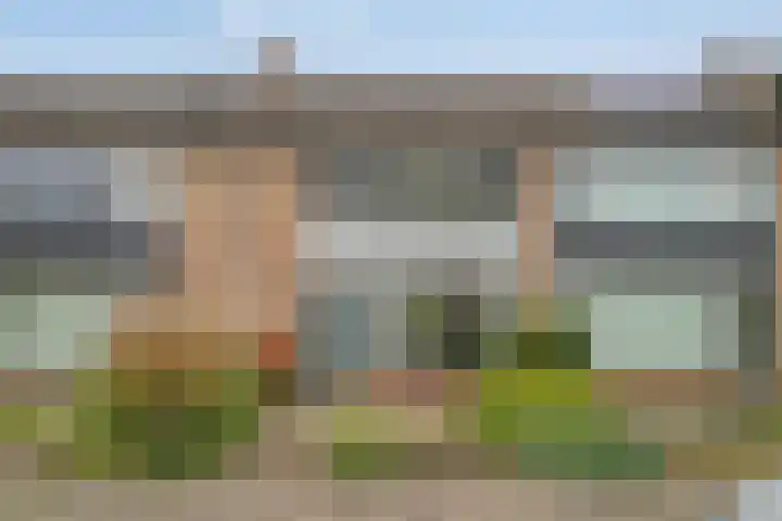 Dahliastraat 15 Steenbergen thumbnail 4