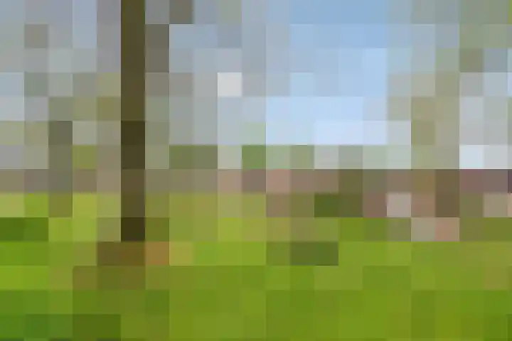 Dahliastraat 15 Steenbergen thumbnail 40