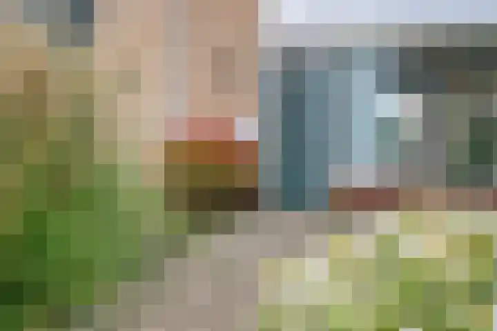Dahliastraat 15 Steenbergen thumbnail 5