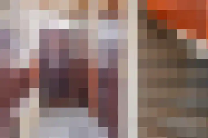Dahliastraat 15 Steenbergen thumbnail 6