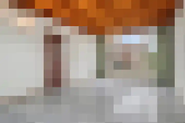 Dahliastraat 15 Steenbergen thumbnail 8