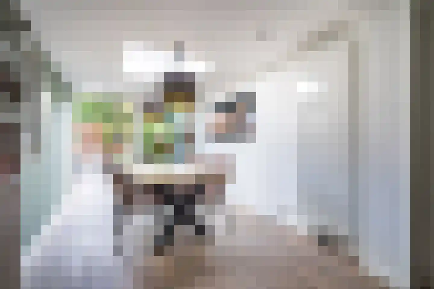 Dahliastraat 15 Weert thumbnail 10