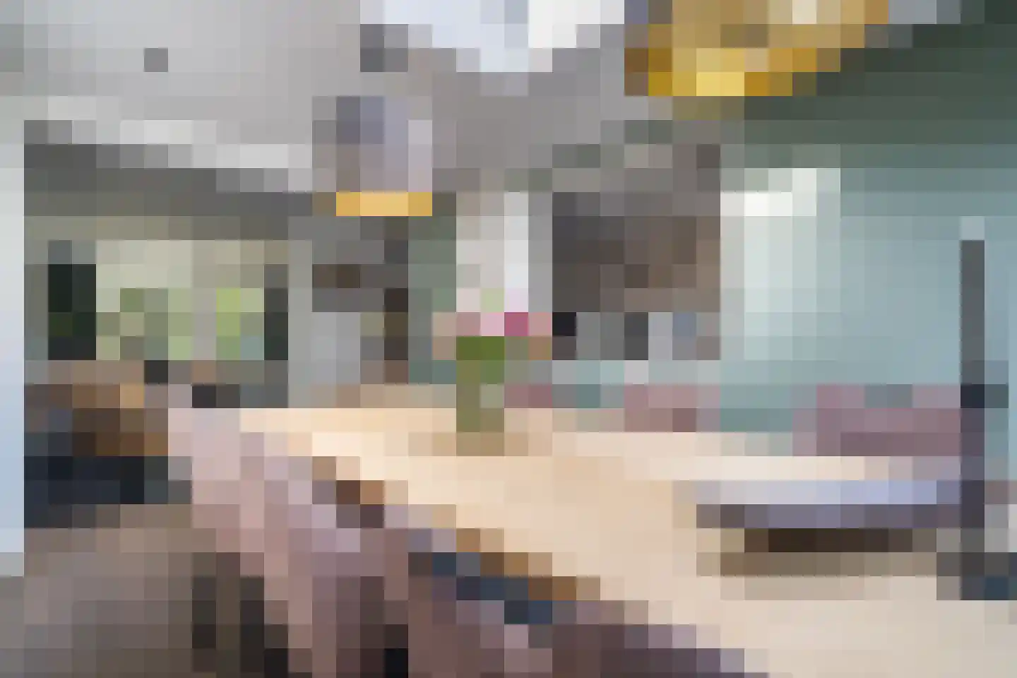 Dahliastraat 15 Weert thumbnail 11