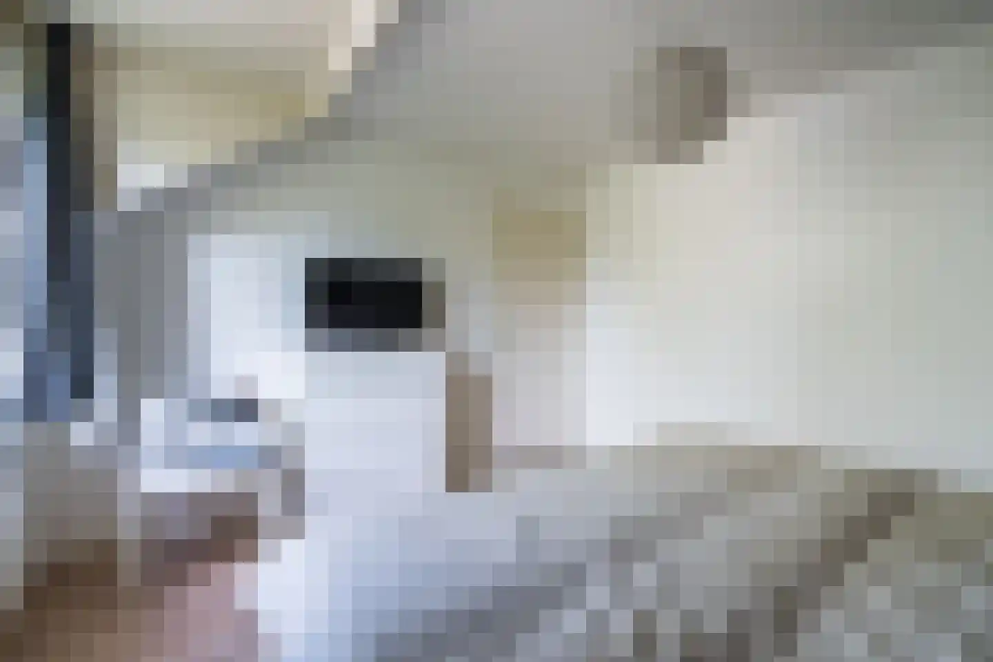 Dahliastraat 15 Weert thumbnail 28