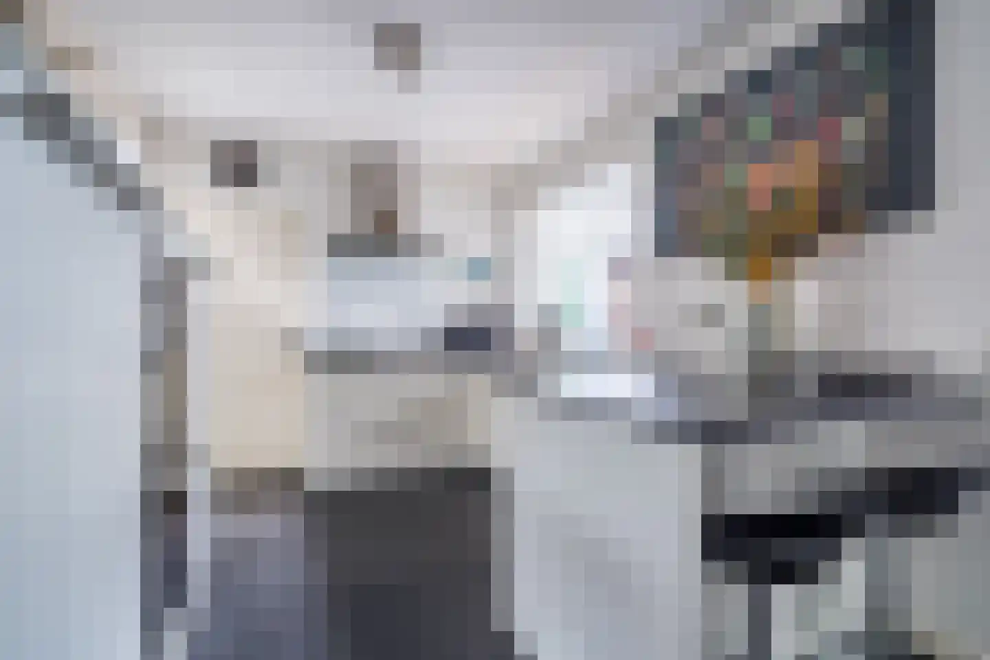 Dahliastraat 15 Weert thumbnail 6